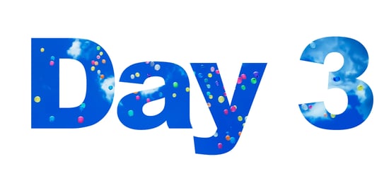 Day 3 Day 3